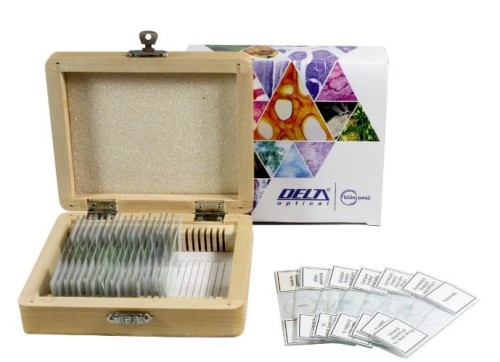 Zestaw preparatów  25