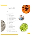 Mikroskop Levenhuk Discovery Micro z książką dla początkujących