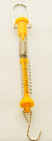  Dynamometr 50N EDUKO 