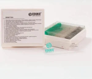 Genetyka - zestaw 25 preparatów EDUKO