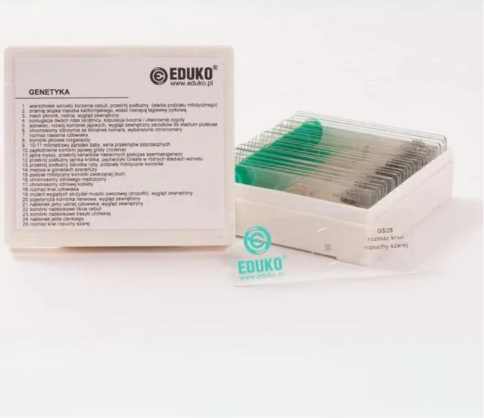 Genetyka - zestaw 25 preparatów EDUKO