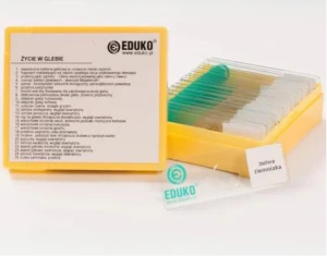 Życie w glebie - zestaw 25 preparatów EDUKO