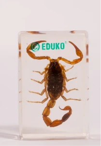 Skorpion - preparat EDUKO