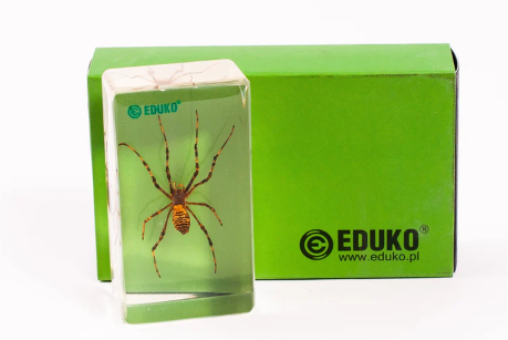 Pająk - preparat EDUKO