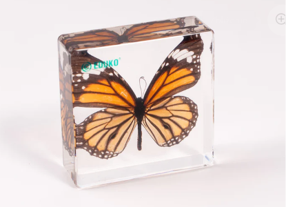 Motyl - preparat EDUKO