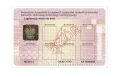 Legitymacja szkolna EDU I/1 MIFARE - funkcja karty zbliżeniowej Z HOLOGRAMEM