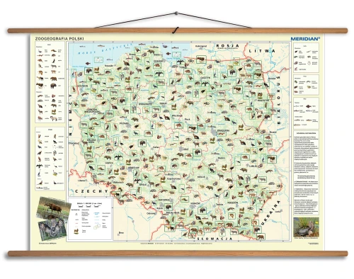 Zoogeografia Polski
