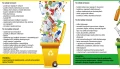 Zasady segregacji odpadów i recykling materiałowy