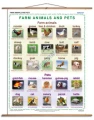 Farm animals and pets