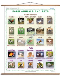 Farm animals and pets