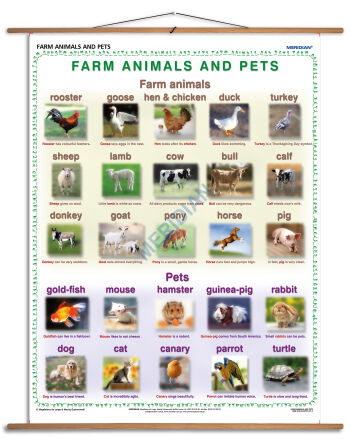 Farm animals and pets