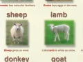Farm animals and pets