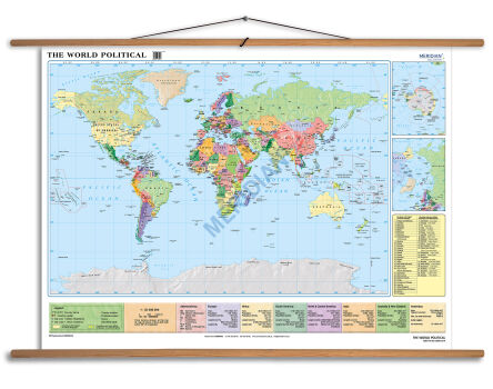 World Political