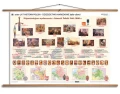 1000 lat historii Polski - dziedzictwo narodowe (960-1800)