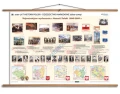 1000 lat historii Polski - dziedzictwo narodowe (1800-2009)