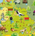 Europa Młodego Odkrywcy - mapa ścienna dla dzieci, różne wymiary