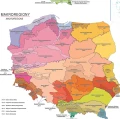 Polska regiony fizycznogeograficzne - szkolna mapa ścienna 196x132 cm