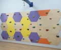 Ścianka wspinaczkowa ,,Plaster Miodu"