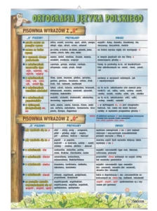 Pisownia z „u” i „ó”