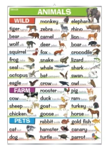 Animals: wild, farm, pets