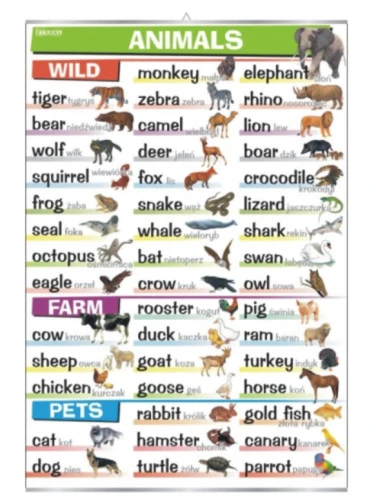 Animals: wild, farm, pets