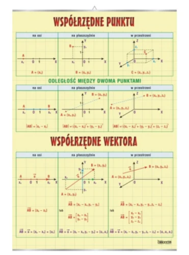 Współrzędne punktu i wektora
