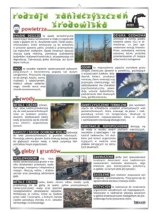 Rodzaje zanieczyszczeń środowiska