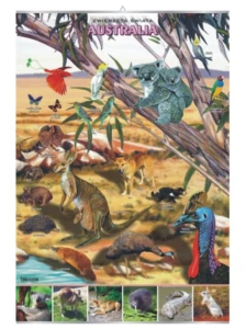 Australia – zwierzęta w środowisku