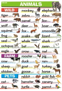 Animals: wild, farm, pets - plansza edukacyjna