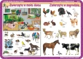Warzywa, owoce, zwierzęta - podkładka edukacyjna
