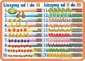 Liczymy 1-20, tabliczka mnożenia… - podkładka edukacyjna 