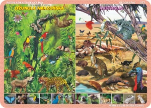 Zwierzęta Amazonii, Australii, Arktyki, rafy koralowej - podkładka edukacyjna