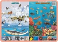 Zwierzęta Amazonii, Australii, Arktyki, rafy koralowej - podkładka edukacyjna
