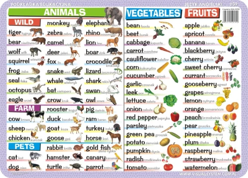 Numbers, time, calendar, vegetables, fruits… - podkładka edukacyjna 
