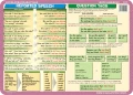 ABe, have, can, relative clauses, reported speech… - podkładka edukacyjna 