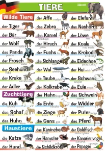 die Tiere - plansza edukacyjna