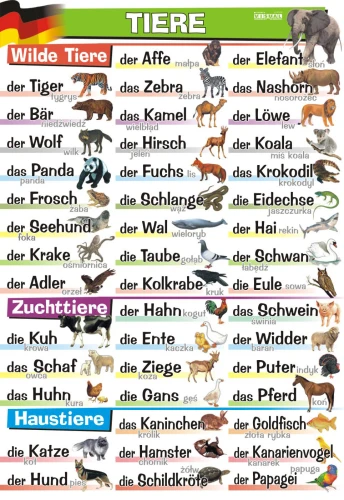 die Tiere - plansza edukacyjna
