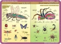 Anatomia: owady, pajęczaki, protisty, gąbki… - podkładka edukacyjna