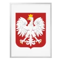 Godło Polski w ramie aluminiowej 30 × 40 cm - różne kolory ramy
