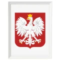 Godło Polski w ramie drewnianej klasycznej 30 × 40 cm - różne kolory ramy 