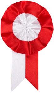 Kotylion narodowy - rozmiar 80 x 135 mm. Zestaw 20 sztuk.