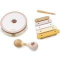 VIGA PolarB Zestaw Instrumentów Muzycznych Z Jeżykiem