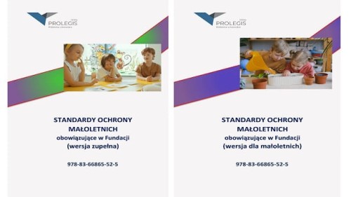 „Standardy ochrony małoletnich" dla fundacji i stowarzyszeń działających na rzecz dzieci i młodzieży (e-publikacja)