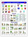 Basic English I