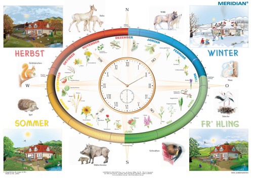 Vier Jahreszeiten - rytmy przyrody