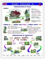 Basic English II