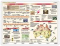 Basic Facts about Australia (Fakty o Australii)