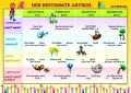 Der Bestimmte Artikel (rodzajnik określony rzeczownika)