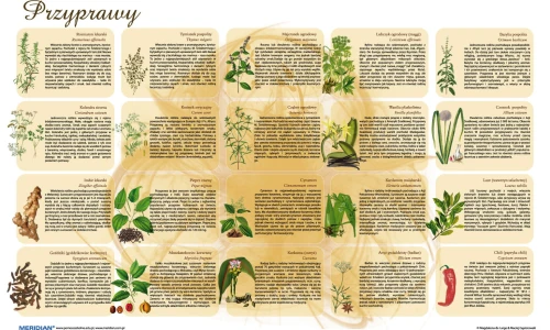 Rośliny przyprawowe - ścienna plansza dydaktyczna