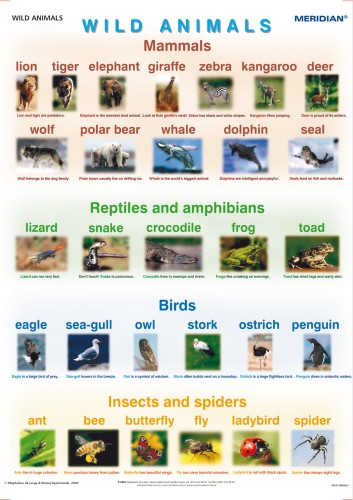 Wild animals